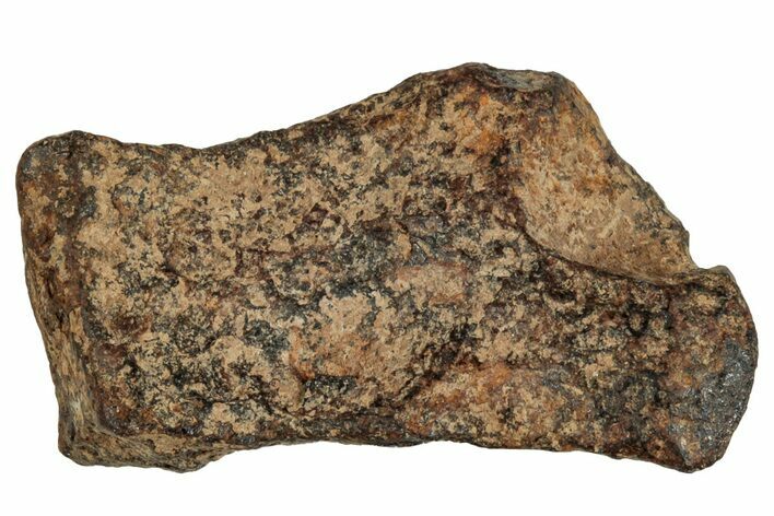 Agoudal Iron Meteorite ( g) - Morocco #288900